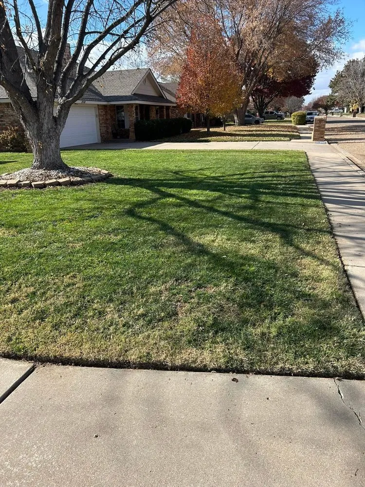 Reliable lawn care service in Clovis, NM by Thrifty Dobson Lawn Care