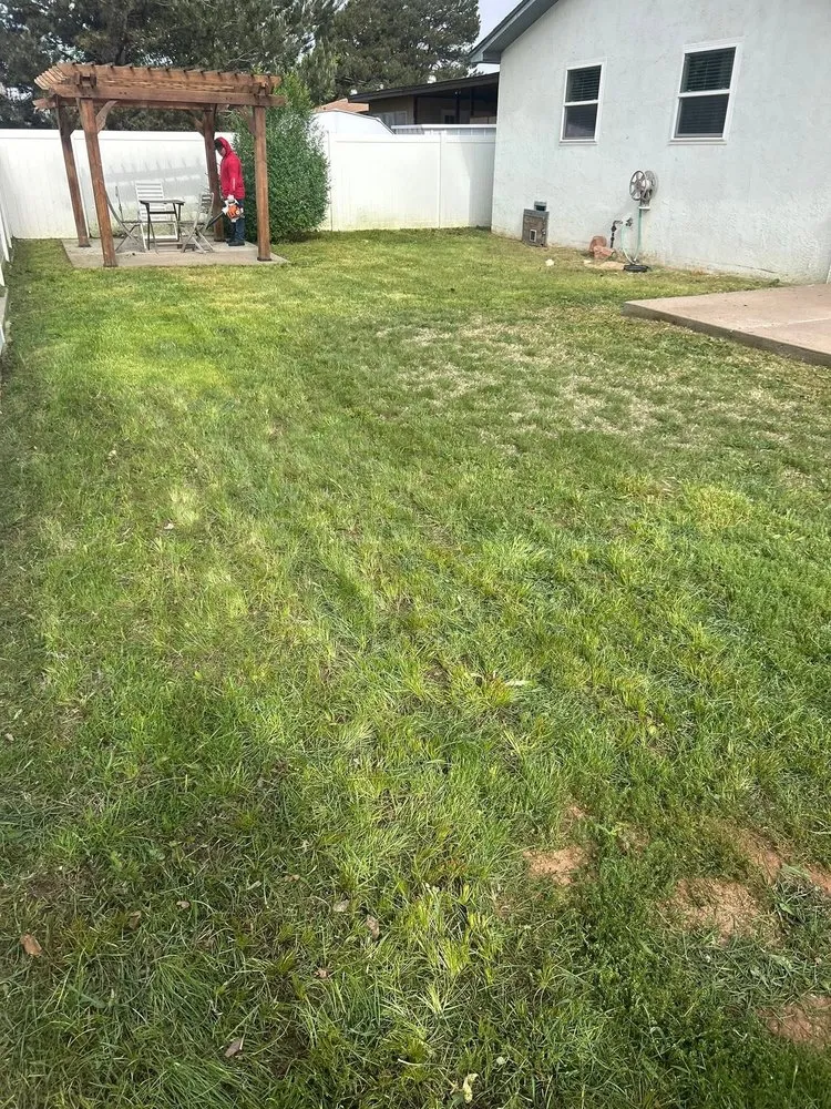 Top-rated lawn care service near you across Clovis, NM - Thrifty Dobson Lawn Care