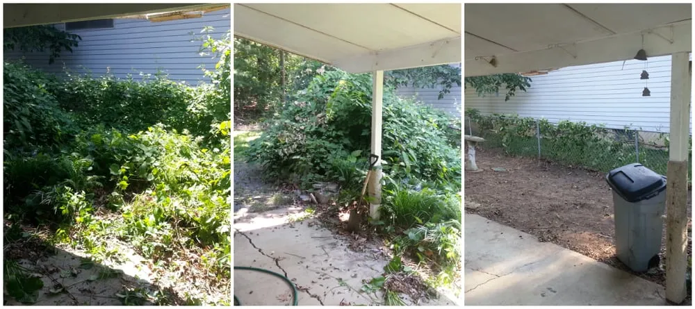 Affordable yard cleanup service near you across Fenton, MO - ThriftyCuts Lawn Care LLC