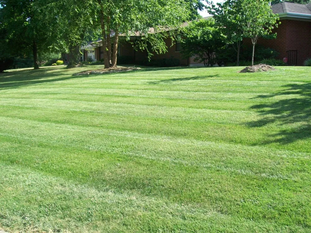 Custom lawn care service for homes across Fenton, MO - ThriftyCuts Lawn Care LLC