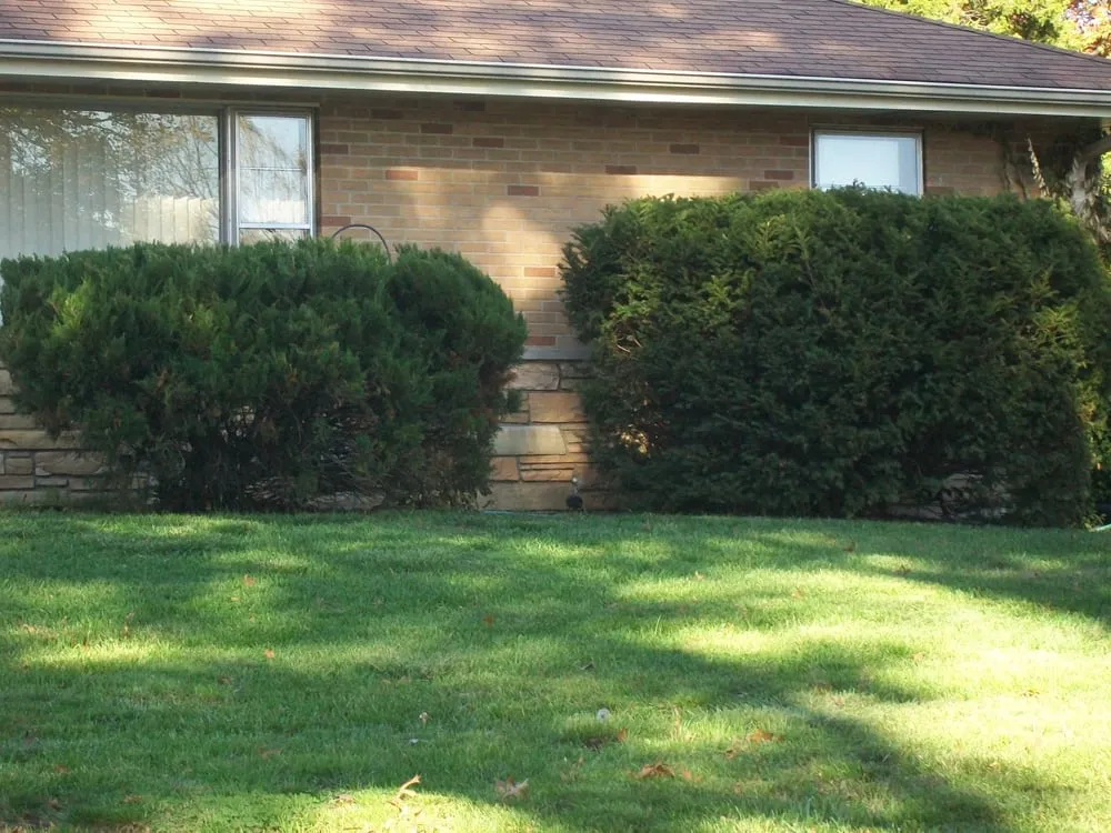 Professional landscaping services in Fenton, MO by ThriftyCuts Lawn Care LLC