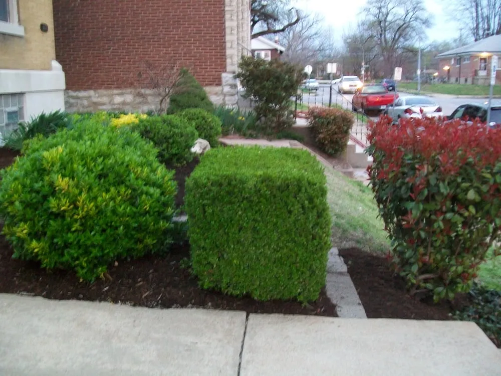 Expert garden landscaping for year-round maintenance across Fenton, MO - ThriftyCuts Lawn Care LLC