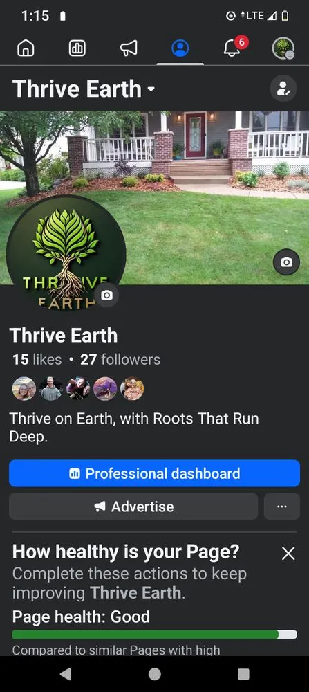 Trusted yard cleanup service in Madison, WI - Thrive Earth