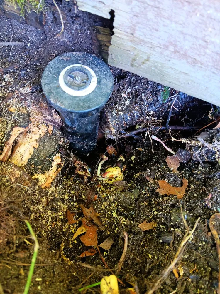 Expert yard cleanup service with custom design in Spokane Valley, WA by Thrive Irrigation & Exterior Solutions