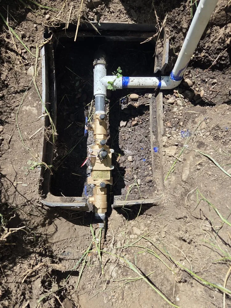 Trusted yard cleanup service in Spokane Valley, WA - Thrive Irrigation & Exterior Solutions