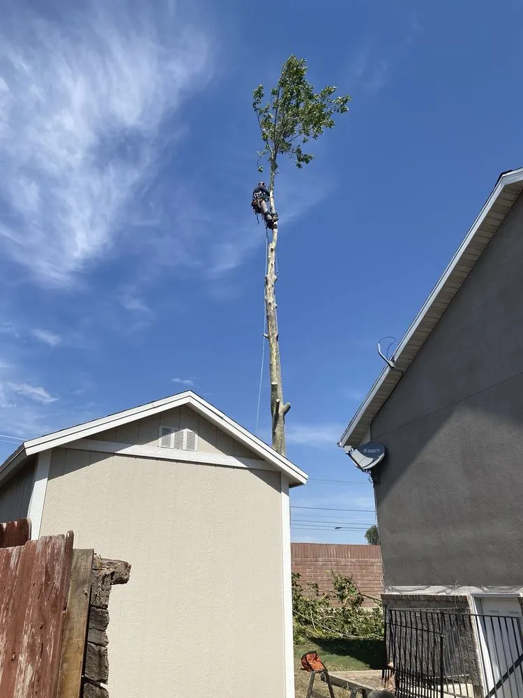 Trusted landscape installation in Sandy, UT - Thrive Landscape Services