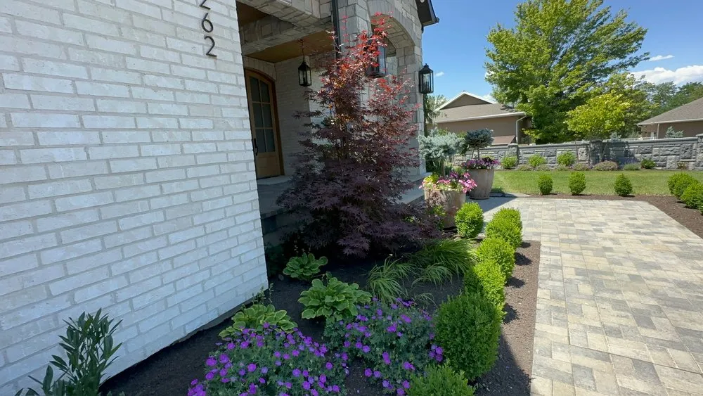 Professional yard cleanup service in Sandy, UT by Thrive Landscape Services