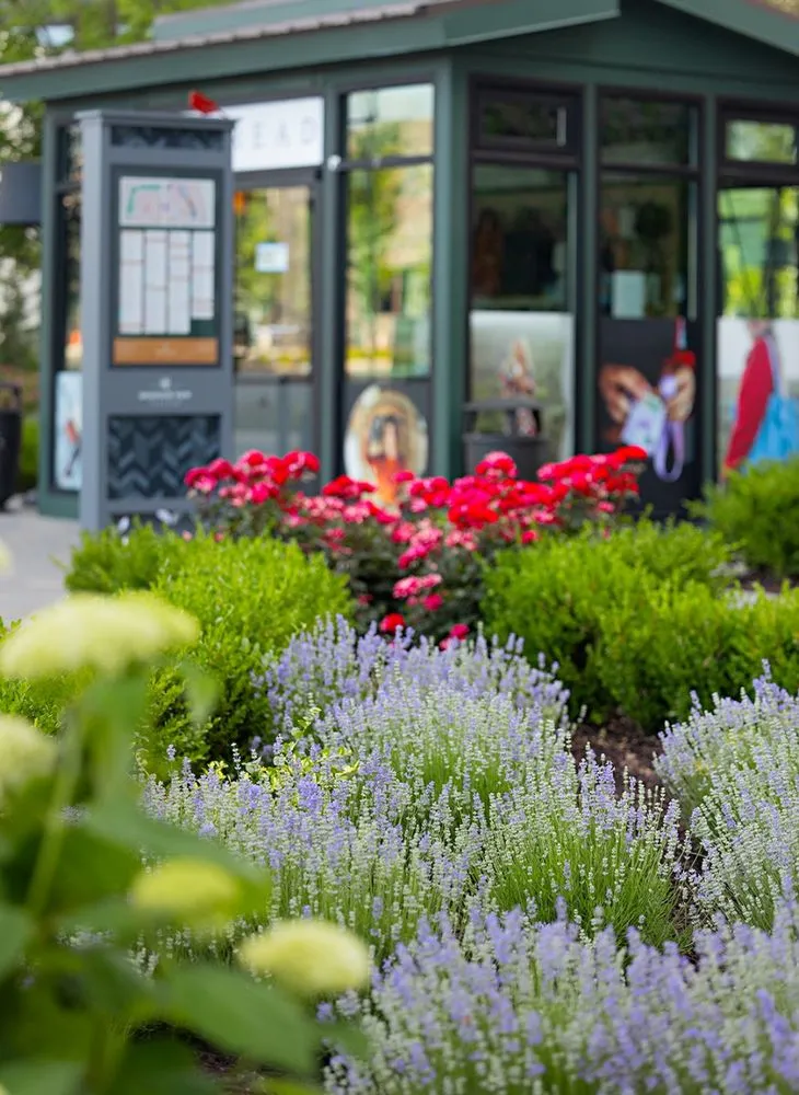 Custom landscaping services experts serving Sandy, UT - Thrive Landscape Services