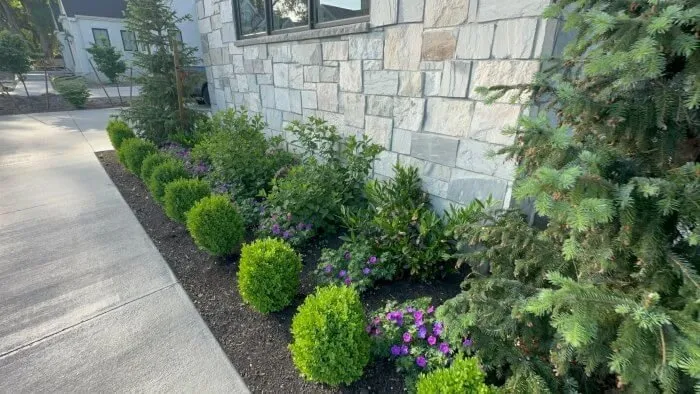 Professional outdoor landscaping experts serving St. George, UT - Thrive Landscape Services