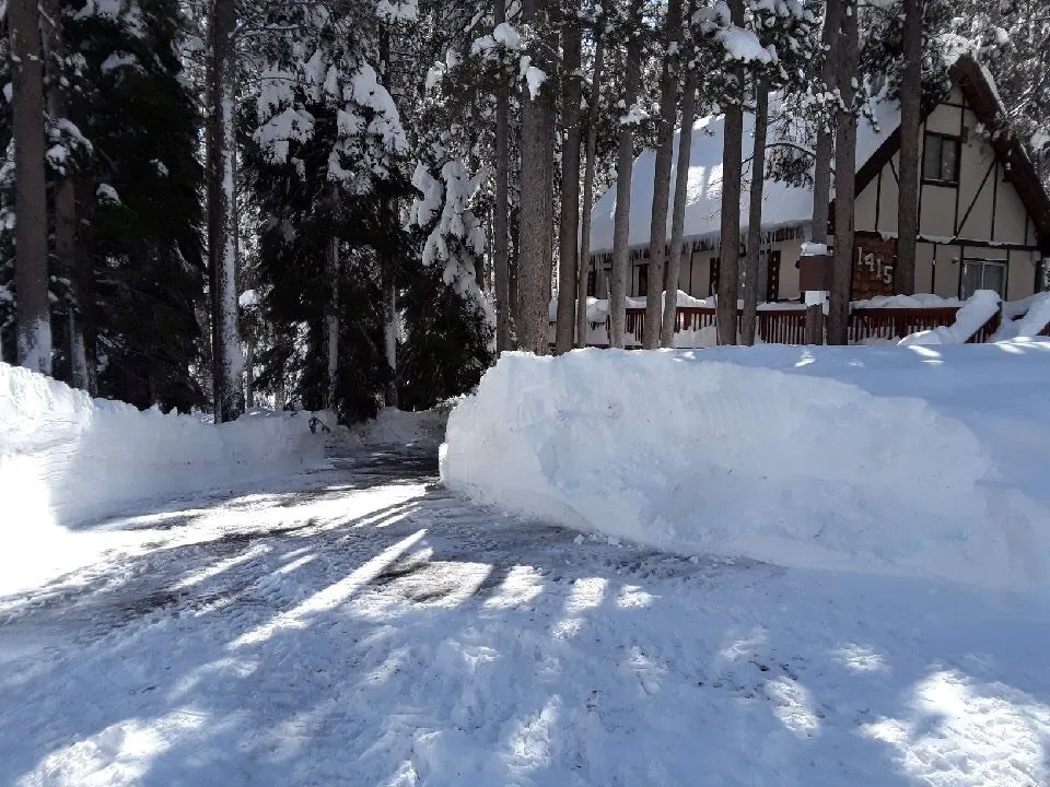 Top-rated yard cleanup service experts serving Zephyr Cove, NV - Thrive Landscape Services