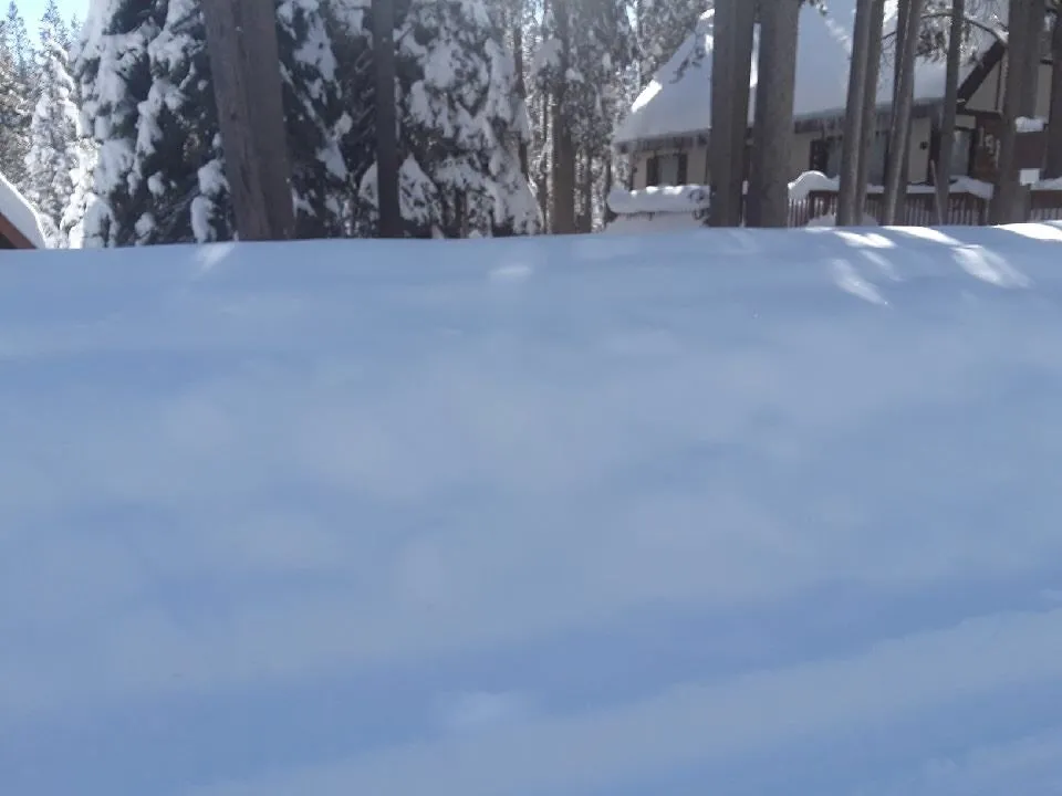 Local lawn mowing service in Zephyr Cove, NV - Thrive Landscape Services