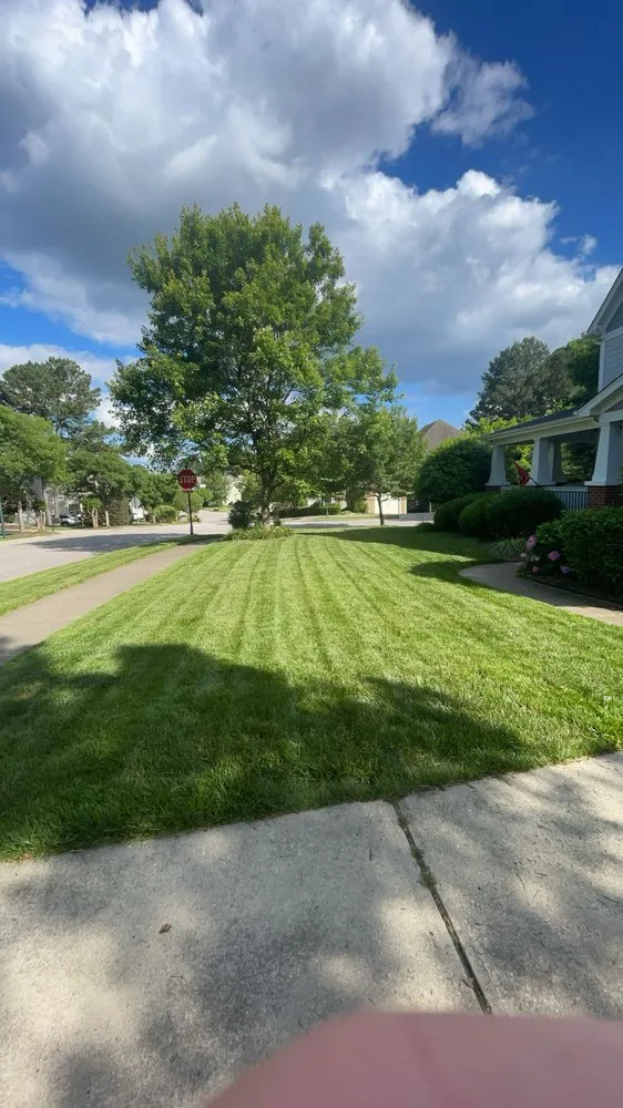 Expert lawn care service for homes across Wake Forest, NC - Thrive Landscaping & Powerwashing