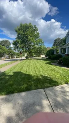 Thrive Landscaping & Powerwashing Logo