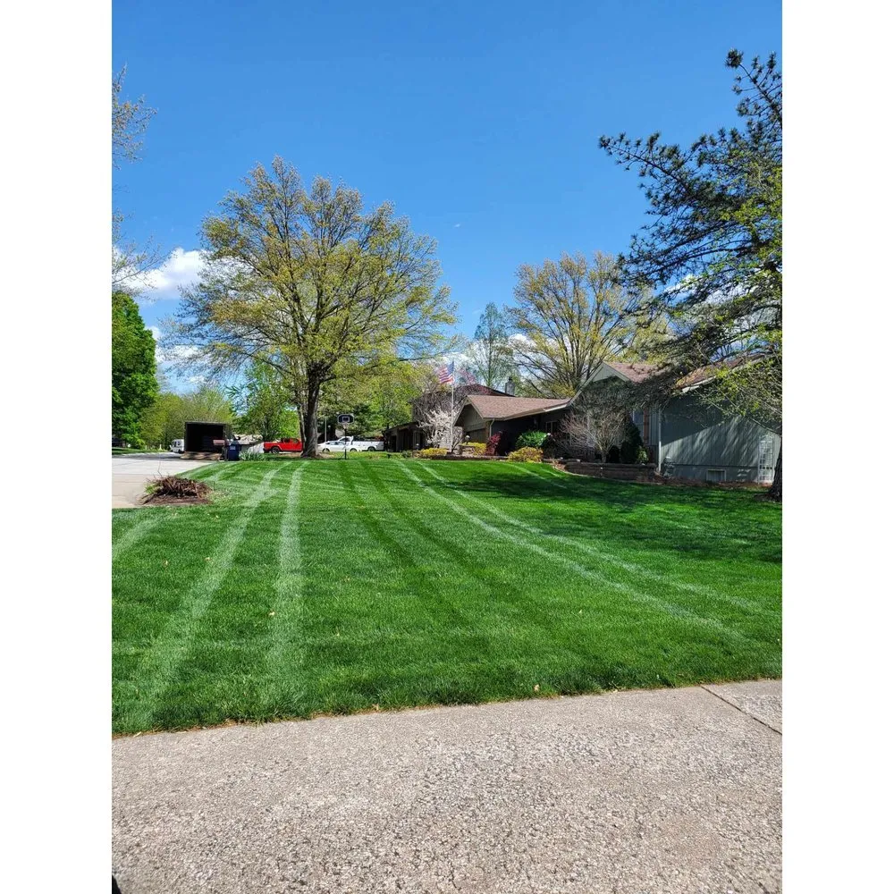Reliable yard cleanup service in Saint Charles, MO - Thrive Lawn Care