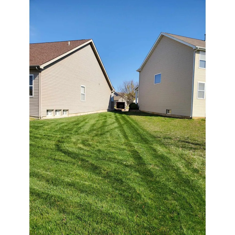 Custom yard cleanup service experts serving Saint Charles, MO - Thrive Lawn Care
