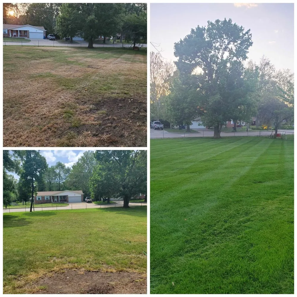Custom landscaping services for residential properties across Saint Charles, MO - Thrive Lawn Care