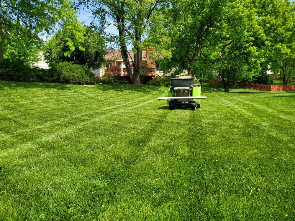 Local landscape design for year-round maintenance across Saint Charles, MO - Thrive Lawn Care