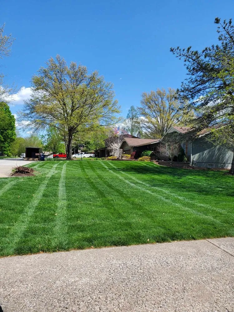 Expert yard maintenance in Saint Charles, MO - Thrive Lawn Care