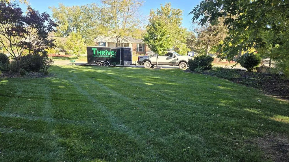 Expert landscaping services in Saint Charles, MO - Thrive Lawn Care