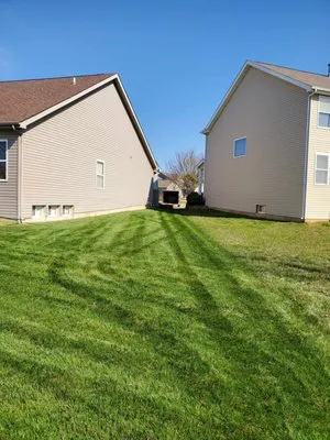 Thrive Lawn Care Logo