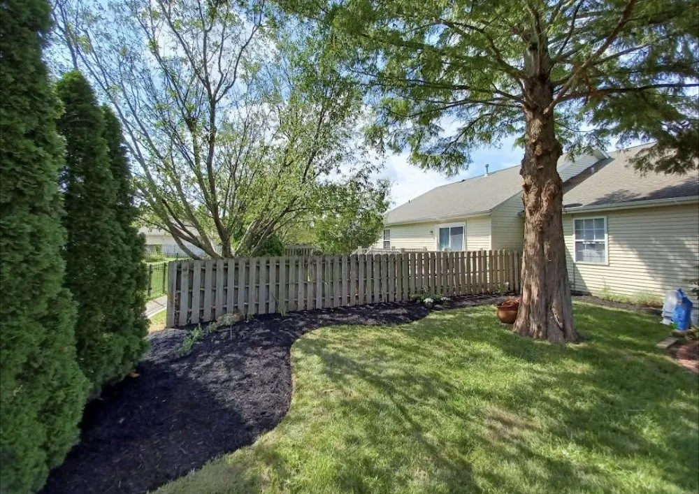 Reliable yard maintenance experts serving Springfield, IL - Thrive Lawn Care