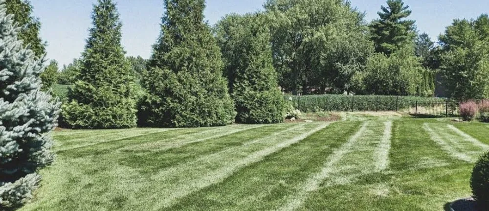 Trusted lawn care service for homes in Springfield, IL by Thrive Lawn Care