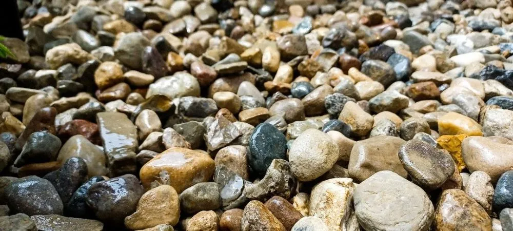 Affordable garden landscaping for residential properties across Springfield, IL - Thrive Lawn Care