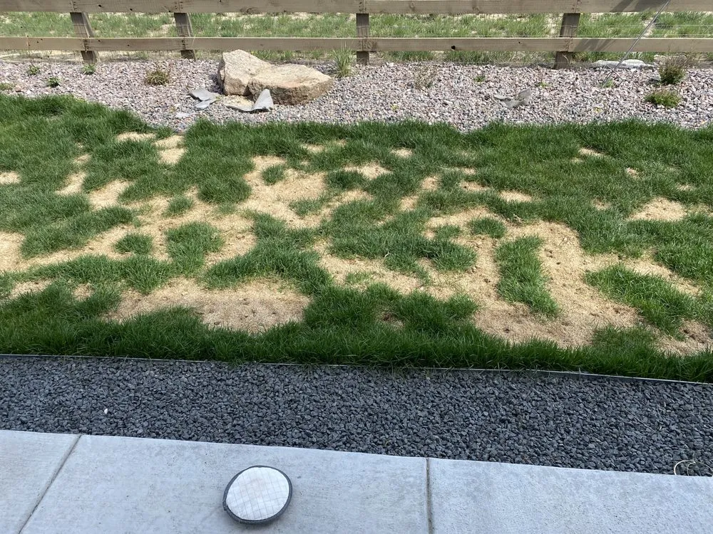 Reliable residential landscaping in Longmont, CO - Thrive Lawn Solutions Inc