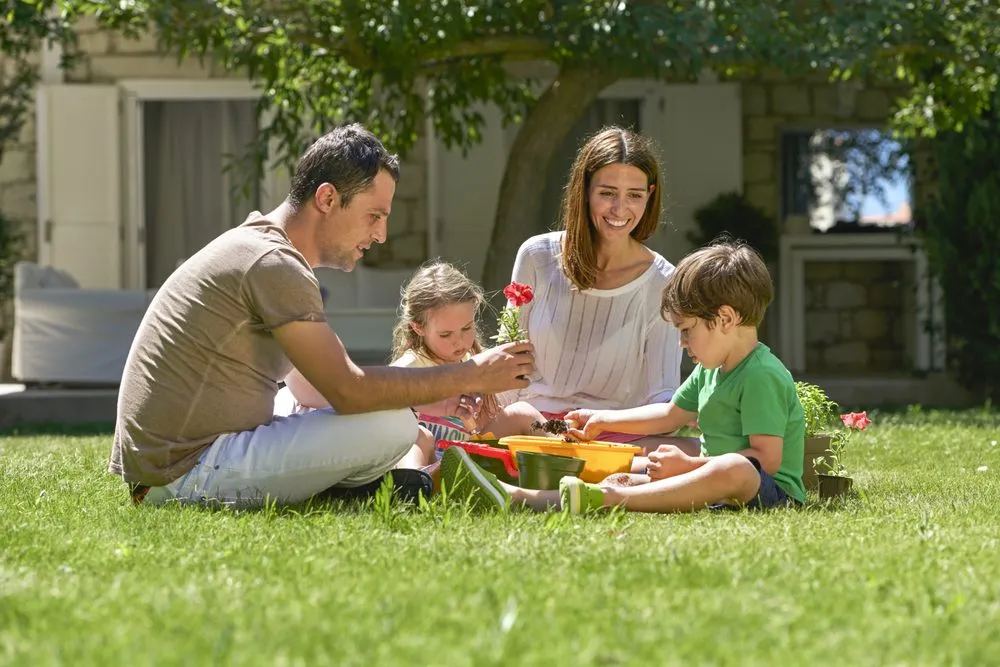 Affordable garden landscaping in Longmont, CO by Thrive Lawn Solutions Inc