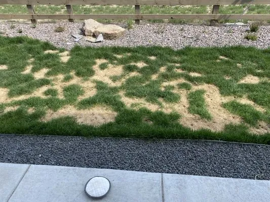 Thrive Lawn Solutions Inc Logo