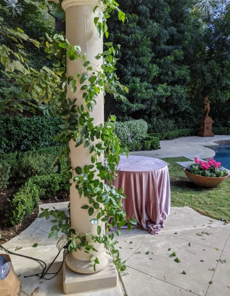 Professional landscape design in Houston, TX by Thriving Botanicals