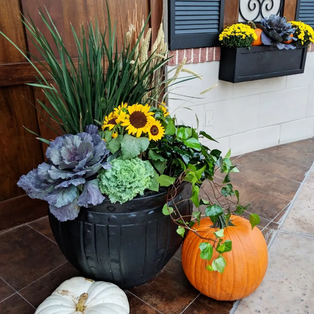 Affordable landscaping services in Houston, TX by Thriving Botanicals