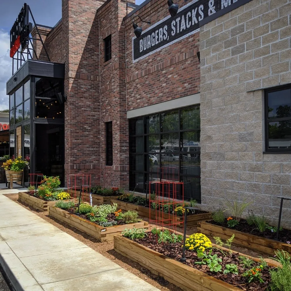 Expert yard cleanup service in Houston, TX - Thriving Botanicals