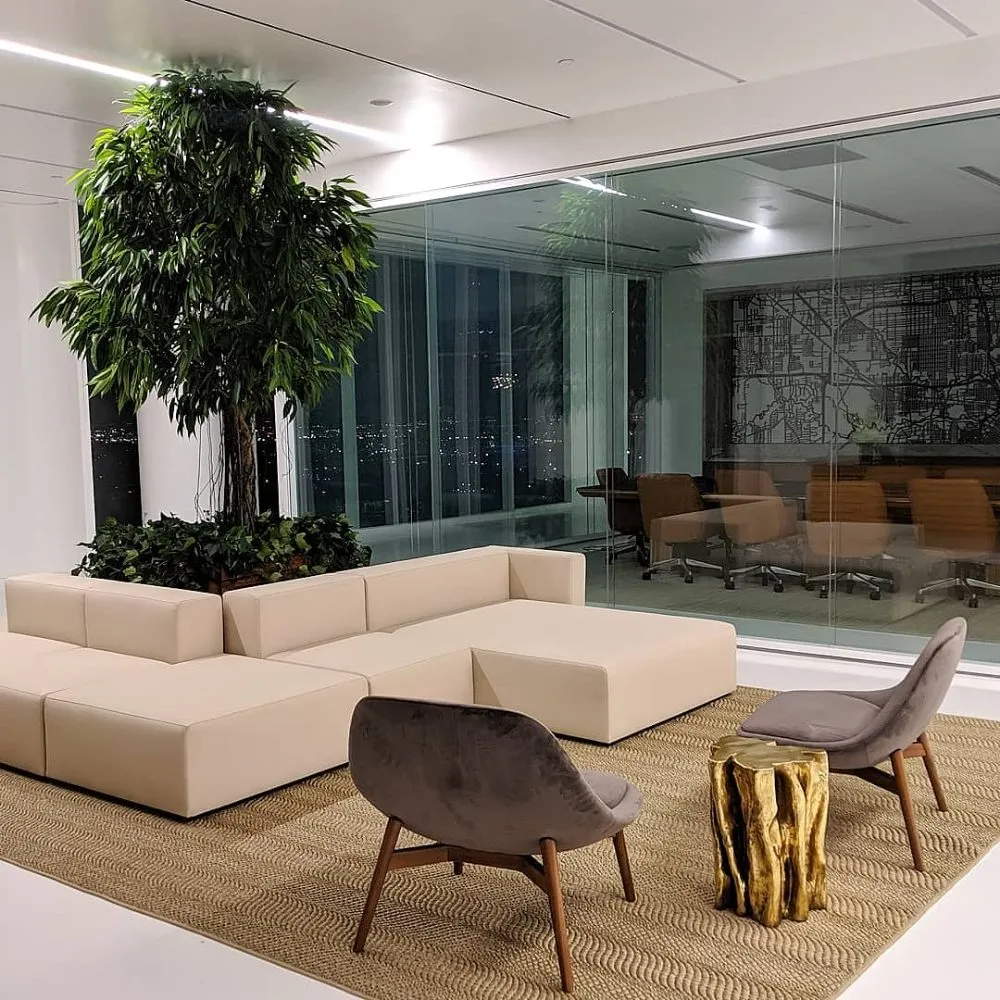 Trusted yard maintenance in Houston, TX - Thriving Botanicals