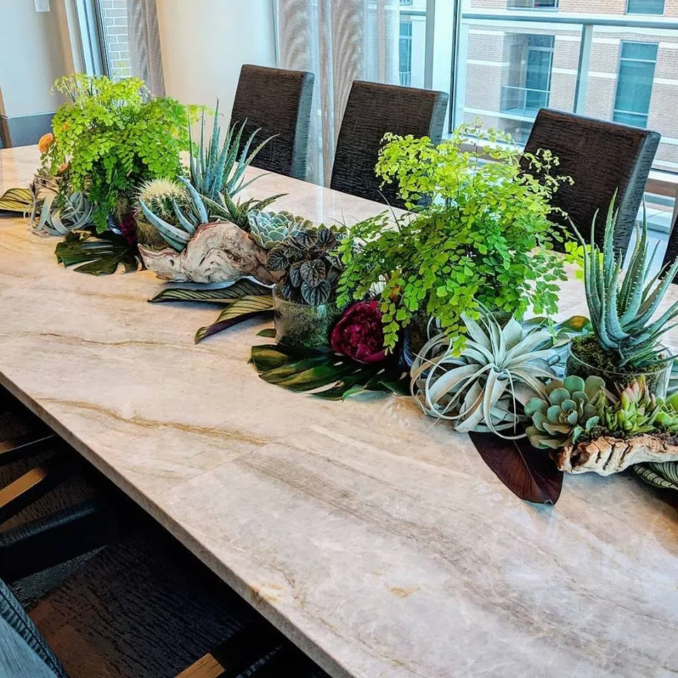 Top-rated outdoor landscaping for beautiful yards in Houston, TX by Thriving Botanicals