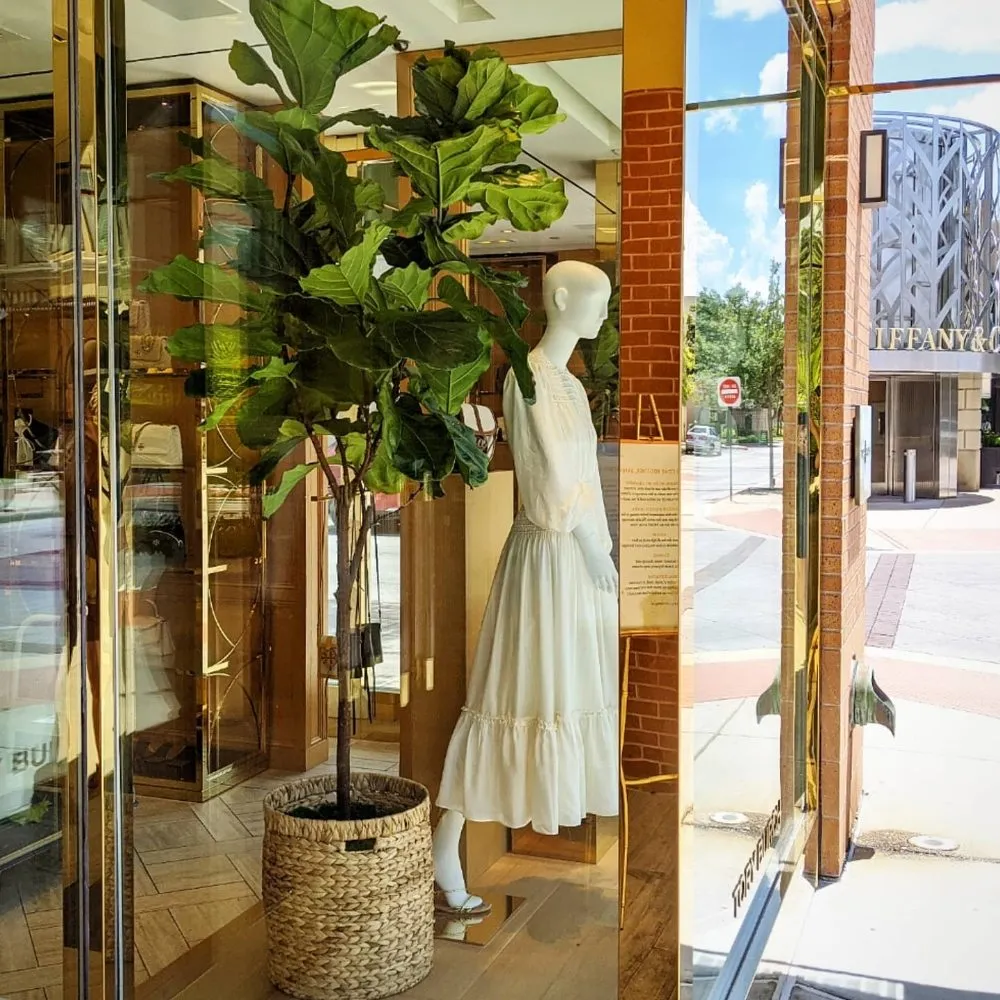 Custom lawn care service experts serving Houston, TX - Thriving Botanicals