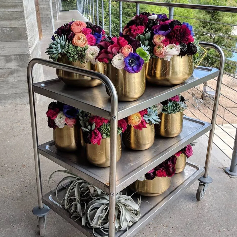 Expert yard cleanup service with custom design in Houston, TX by Thriving Botanicals