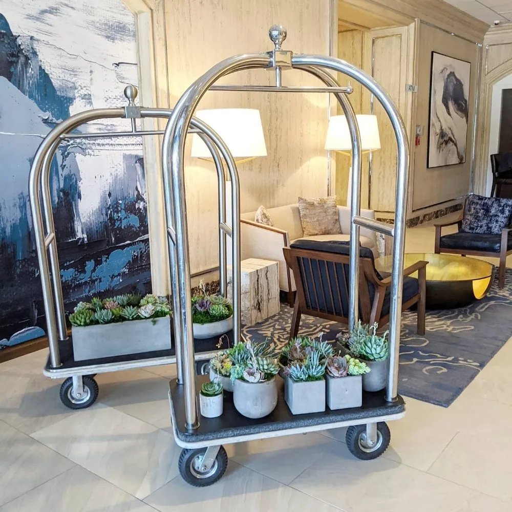 Trusted outdoor landscaping for homes in Houston, TX by Thriving Botanicals