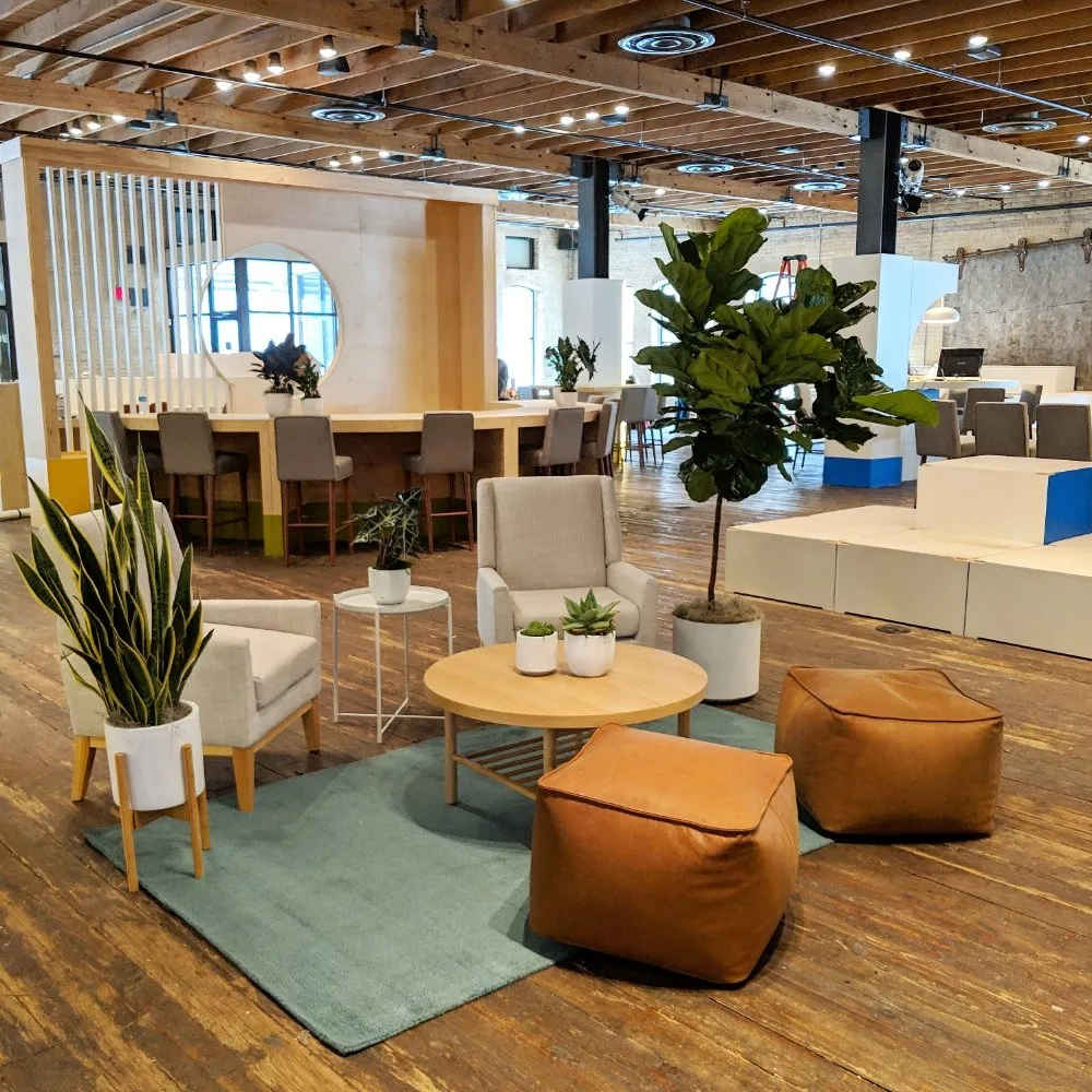 Top-rated yard cleanup service experts serving Houston, TX - Thriving Botanicals