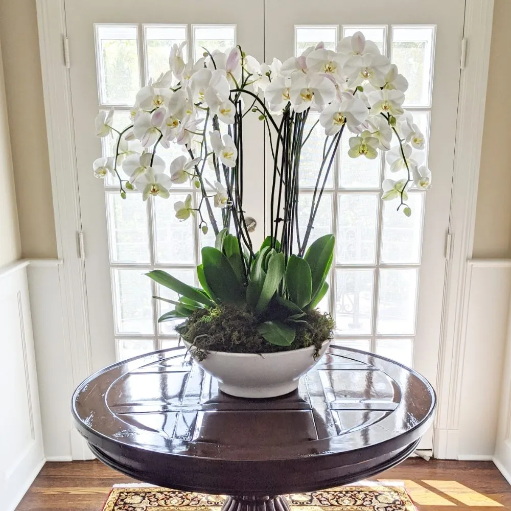 Top-rated landscape installation in Houston, TX by Thriving Botanicals