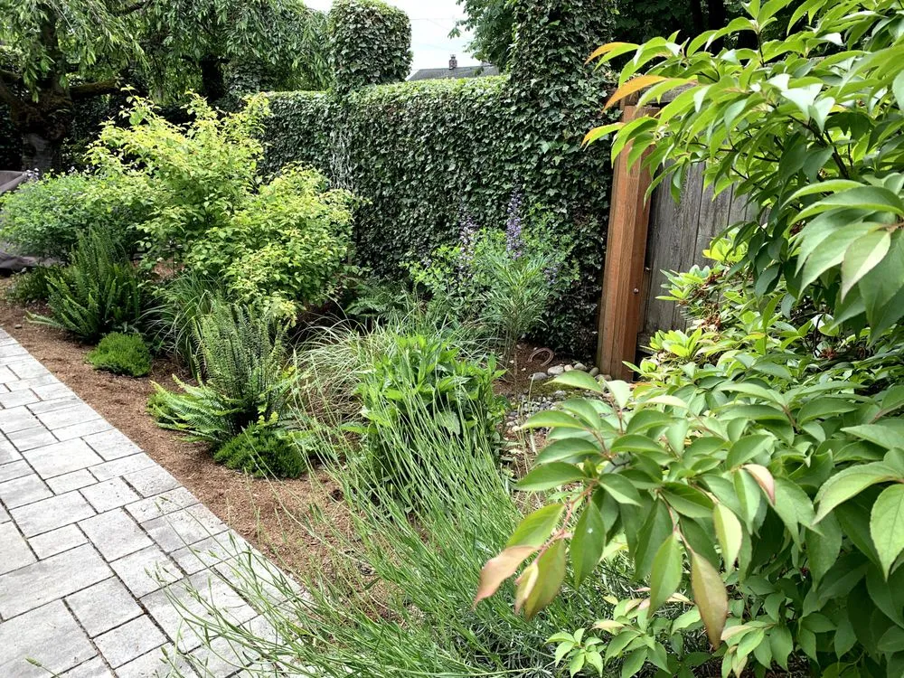 Affordable landscaping services in Seattle, WA - Thriving Garden Design