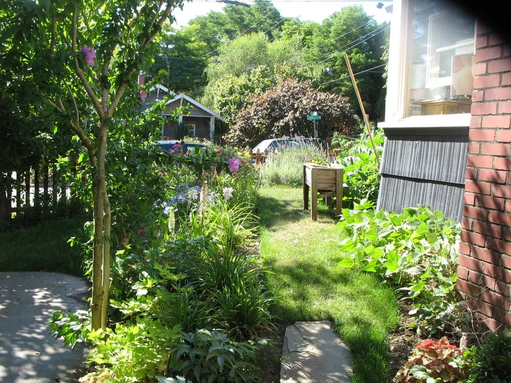 Local lawn mowing service for residential properties in Seattle, WA by Thriving Garden Design