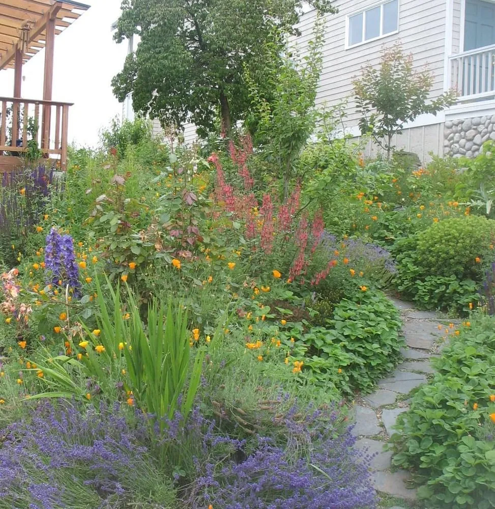 Trusted landscape design in Seattle, WA by Thriving Garden Design