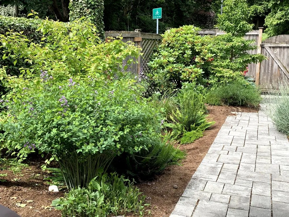 Top-rated residential landscaping with custom design in Seattle, WA by Thriving Garden Design
