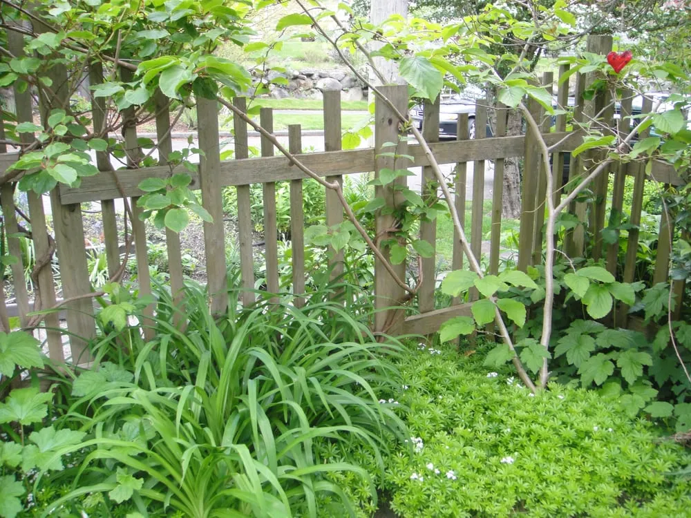 Expert landscaping services in Seattle, WA by Thriving Garden Design