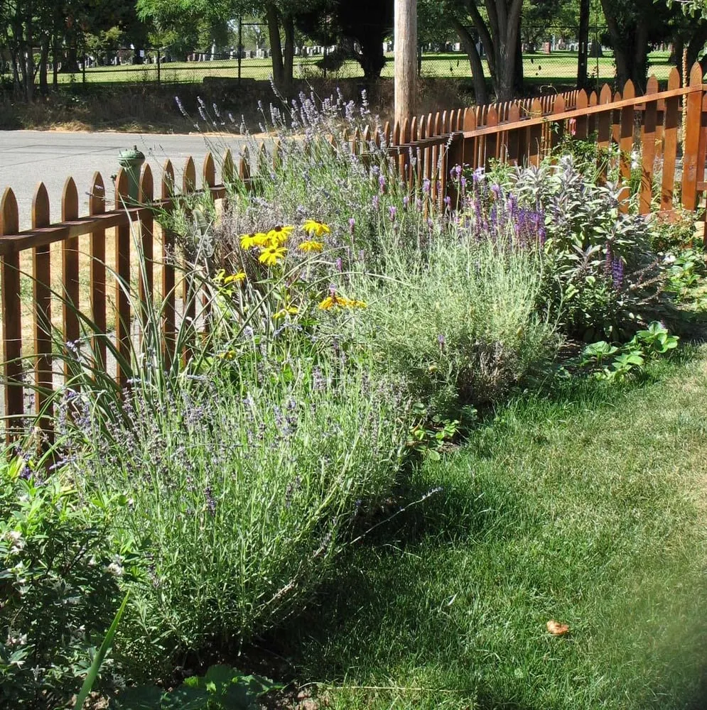 Expert residential landscaping experts serving Seattle, WA - Thriving Garden Design