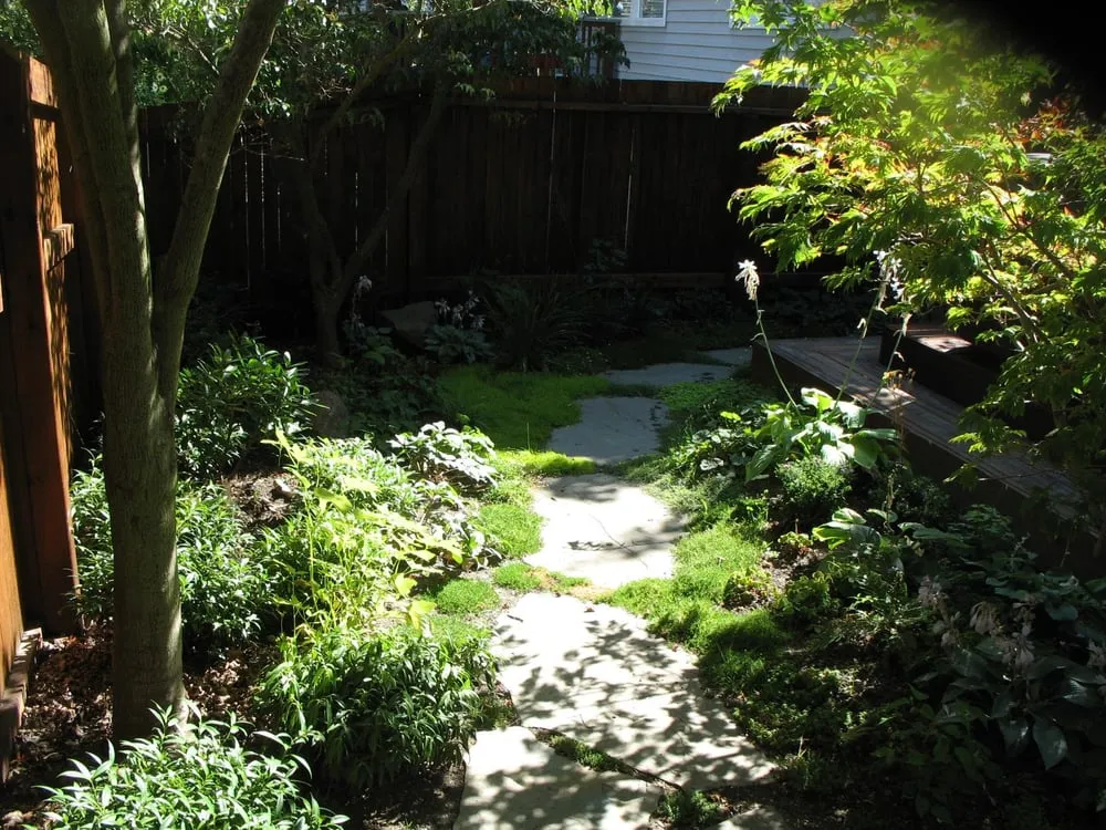 Reliable yard cleanup service near you across Seattle, WA - Thriving Garden Design
