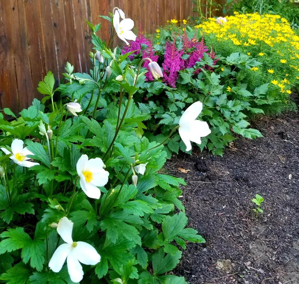 Professional landscaping services experts serving Greenfield, MA - Thriving Grounds Landscaping