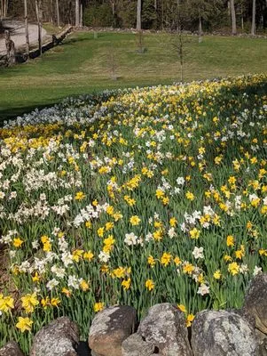 Thriving Grounds Landscaping