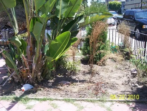 Expert garden landscaping in La Mirada, CA - Throckmorton's Gardening And Landscape